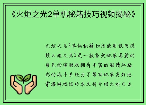 《火炬之光2单机秘籍技巧视频揭秘》